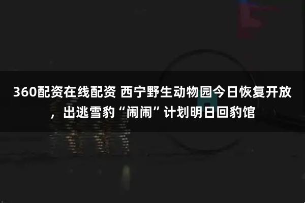 360配资在线配资 西宁野生动物园今日恢复开放，出逃雪豹“闹闹”计划明日回豹馆